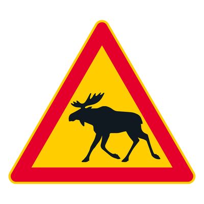 Põder