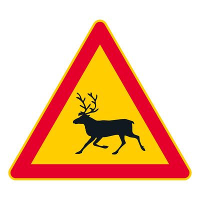 Põder