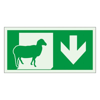 Väljapääsutee alla järelevalgustusega, lambaliha Väljapääsutee alla järelevalgustusega, lambaliha